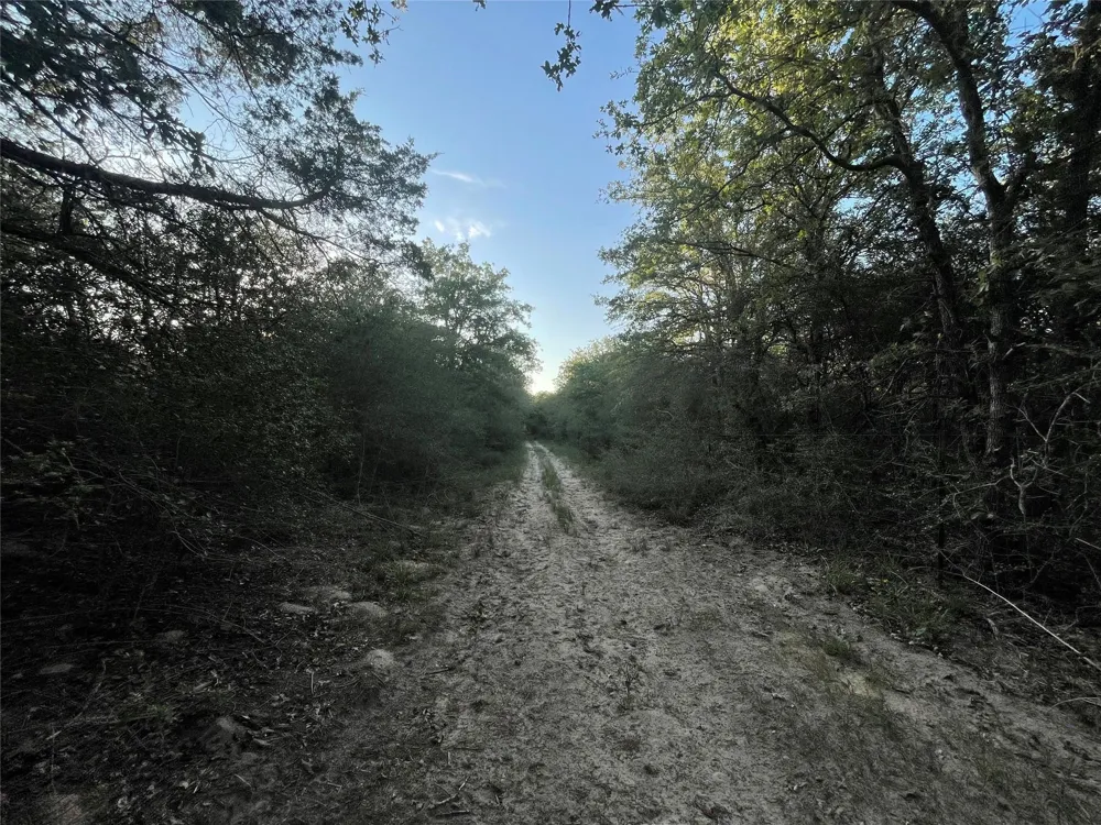 Mule Creek Road Harwood, TX 78632