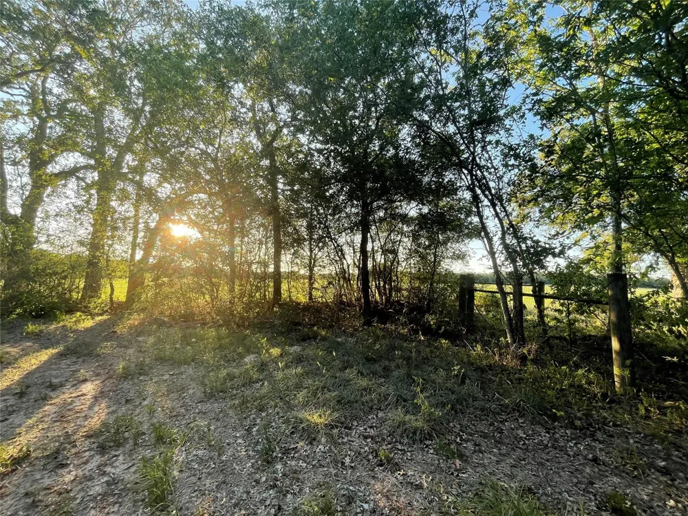 Mule Creek Road Harwood, TX 78632