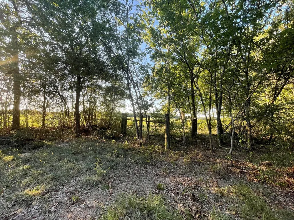 Mule Creek Road Harwood, TX 78632