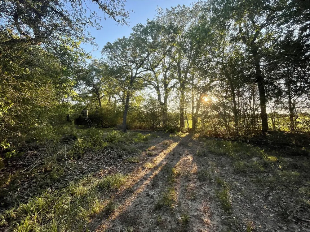 Mule Creek Road Harwood, TX 78632