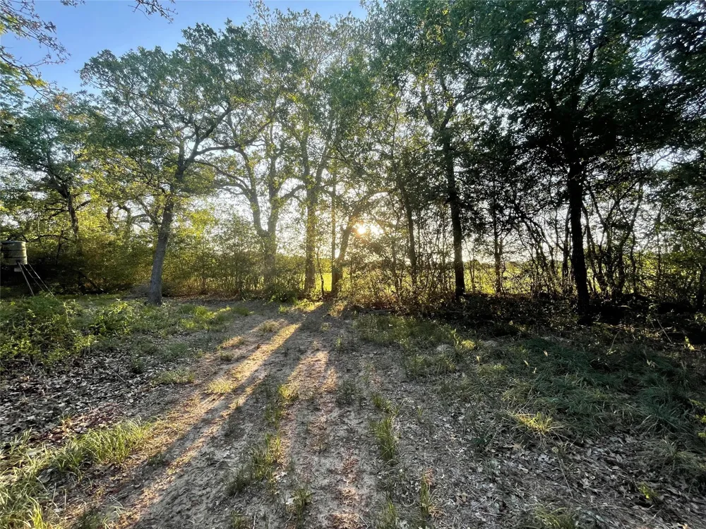Mule Creek Road Harwood, TX 78632