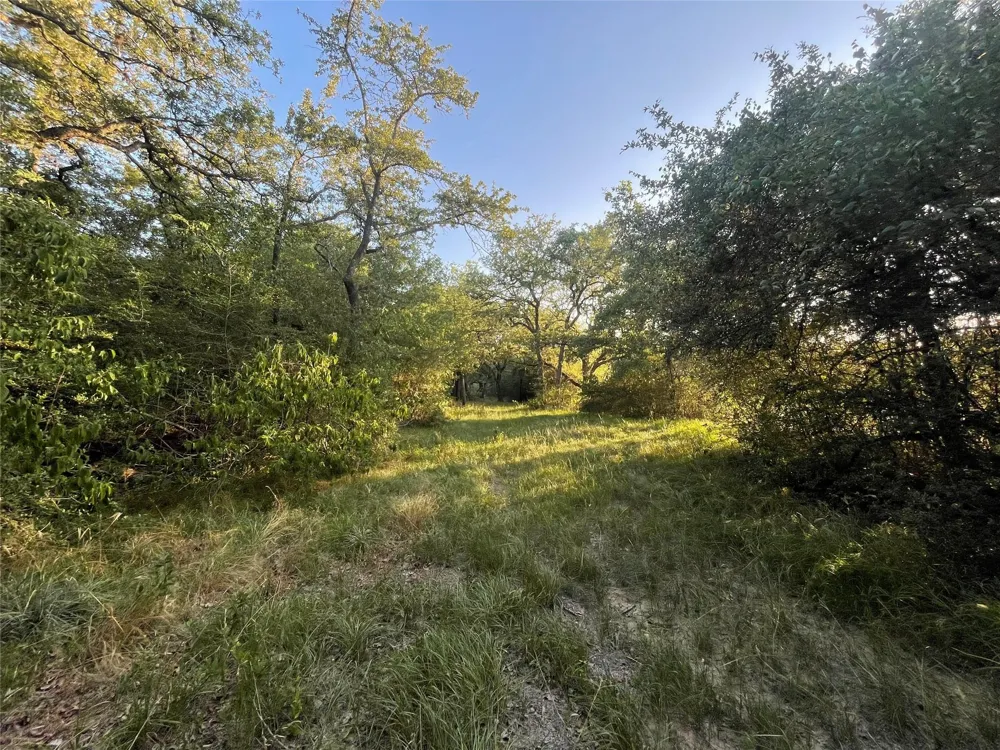 Mule Creek Road Harwood, TX 78632
