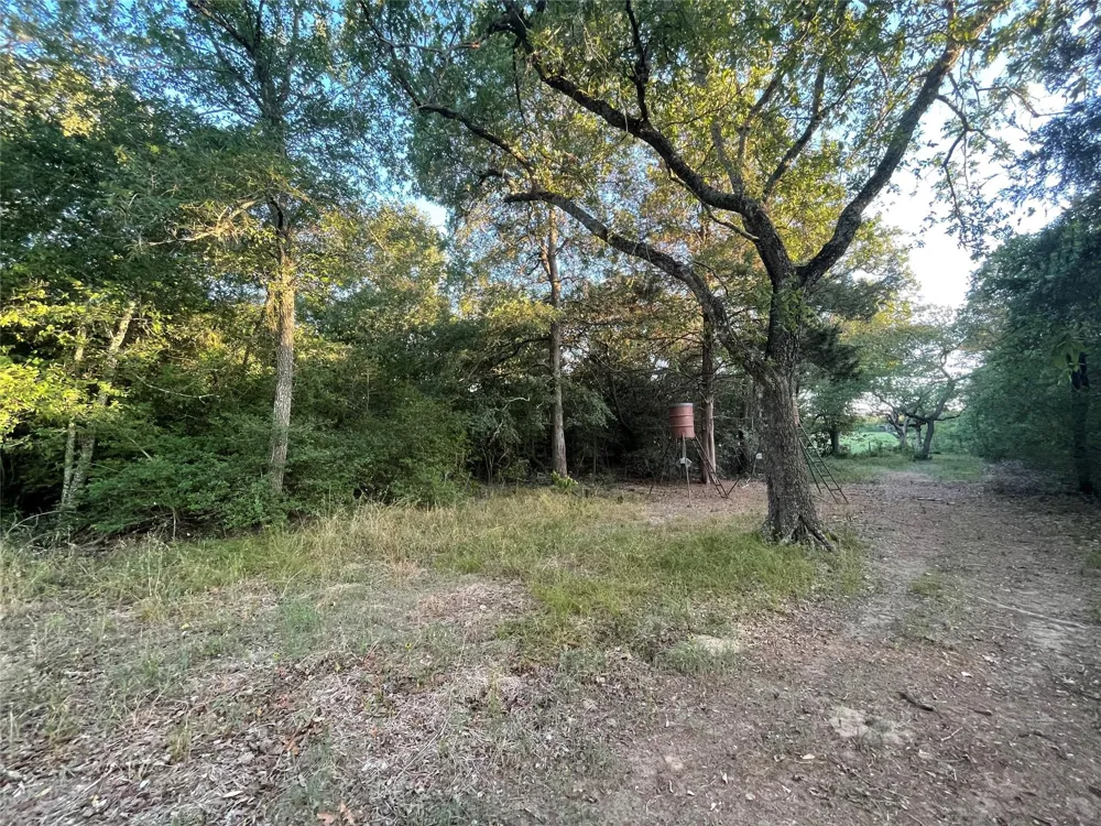 Mule Creek Road Harwood, TX 78632