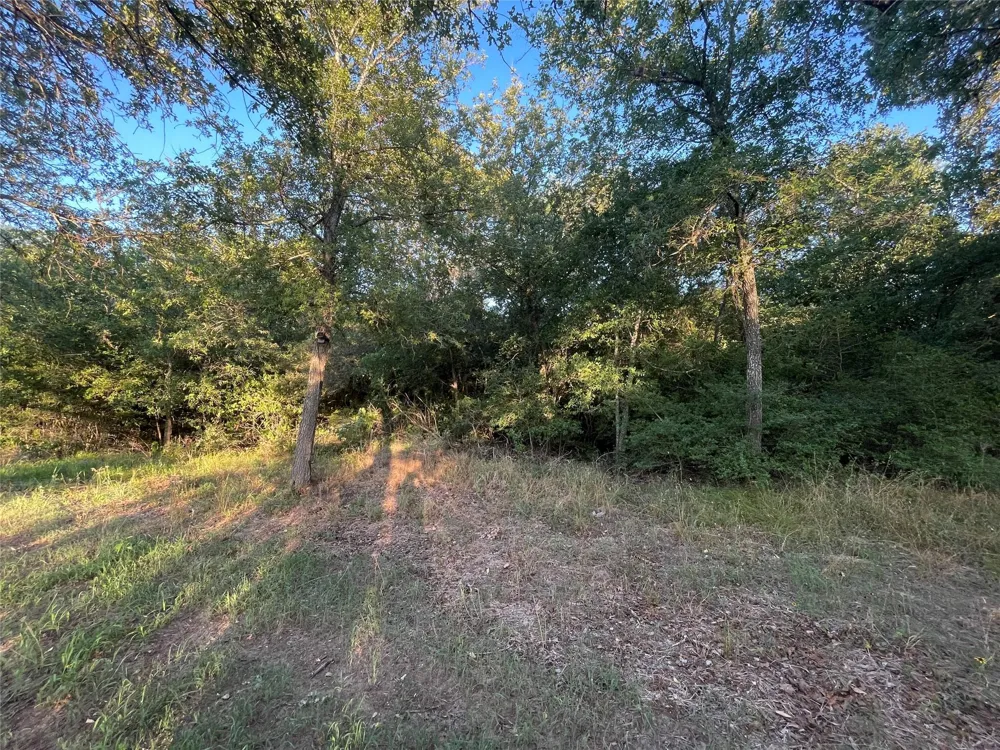 Mule Creek Road Harwood, TX 78632