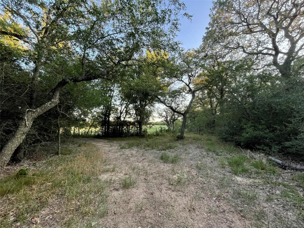 Mule Creek Road Harwood, TX 78632