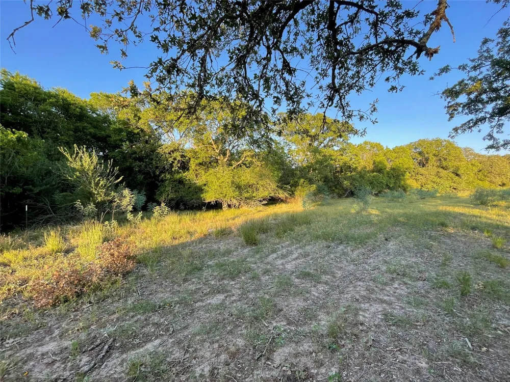 Mule Creek Road Harwood, TX 78632