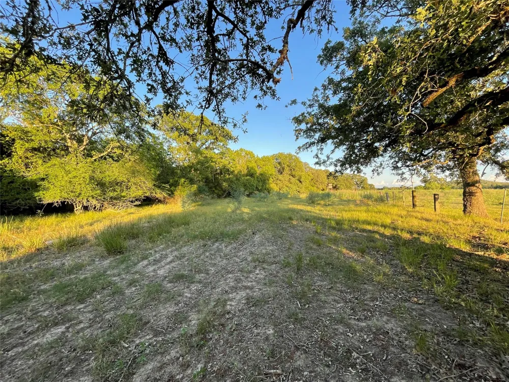 Mule Creek Road Harwood, TX 78632