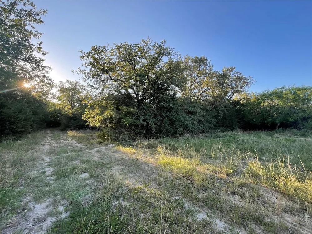 Mule Creek Road Harwood, TX 78632