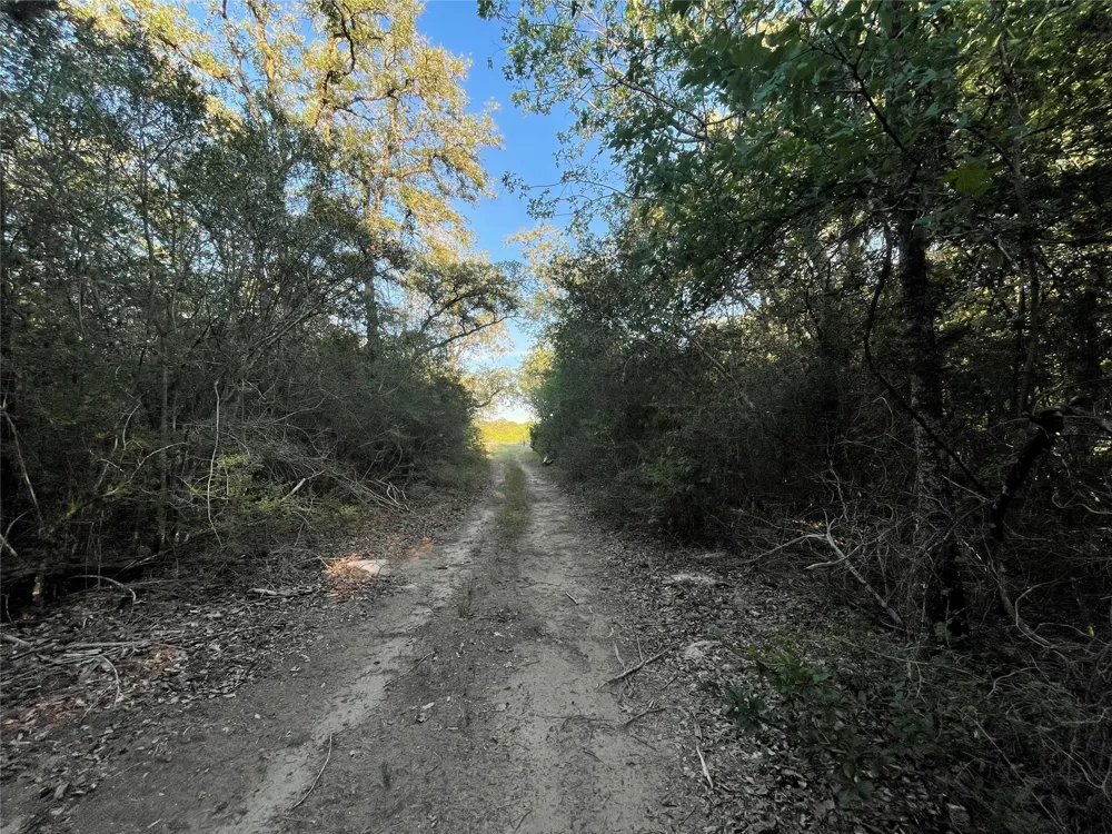 Mule Creek Road Harwood, TX 78632