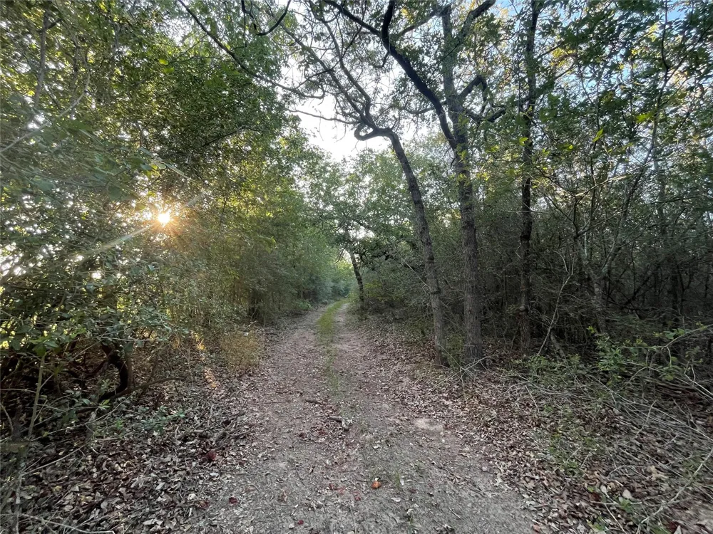 Mule Creek Road Harwood, TX 78632