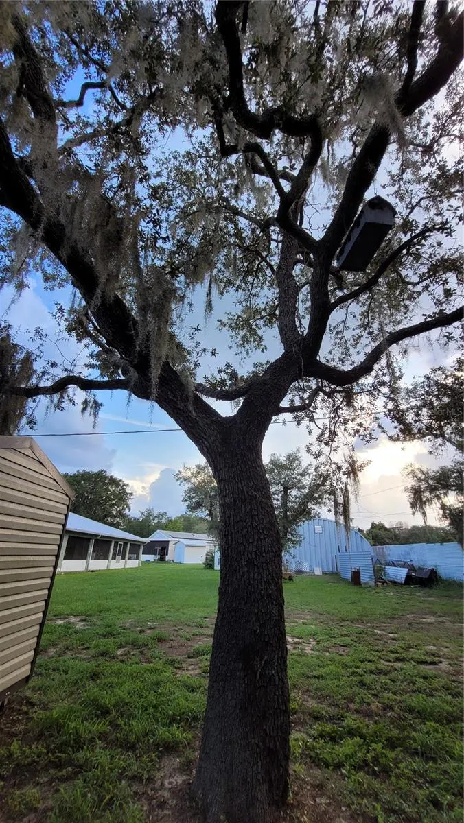 3013 LAUREL AVENUE Lake Wales, FL 33898