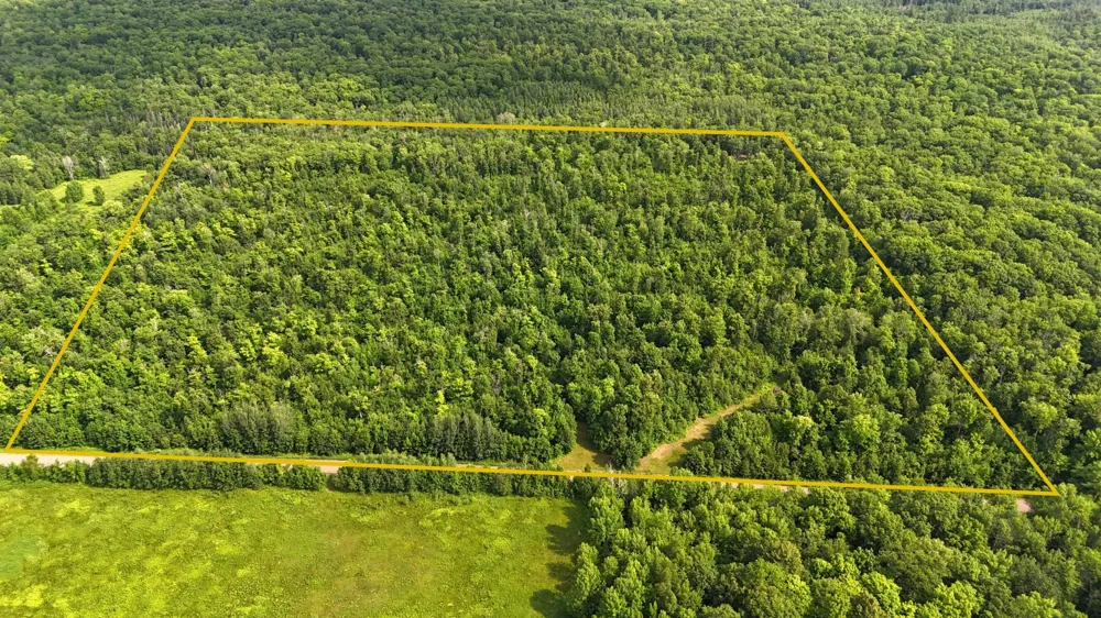XXX W Eckel Lane Couderay, WI 54835