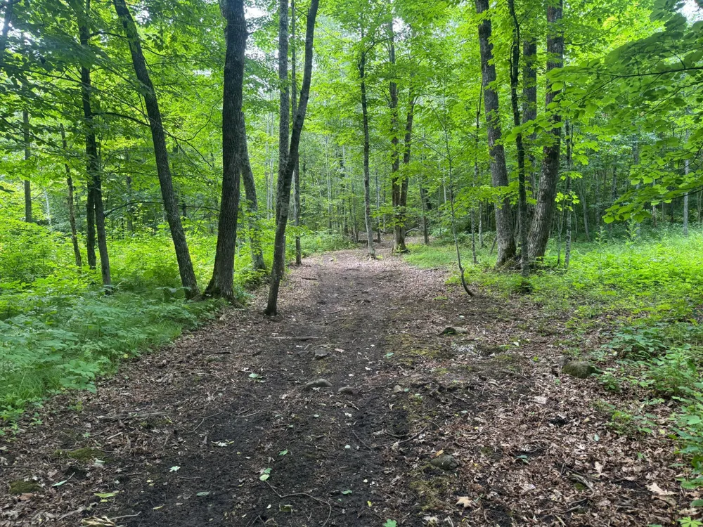 XXX W Eckel Lane Couderay, WI 54835