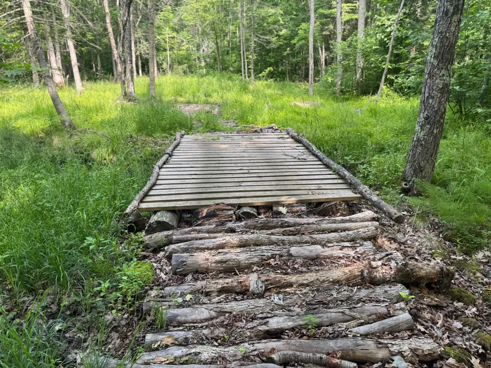XXX W Eckel Lane Couderay, WI 54835