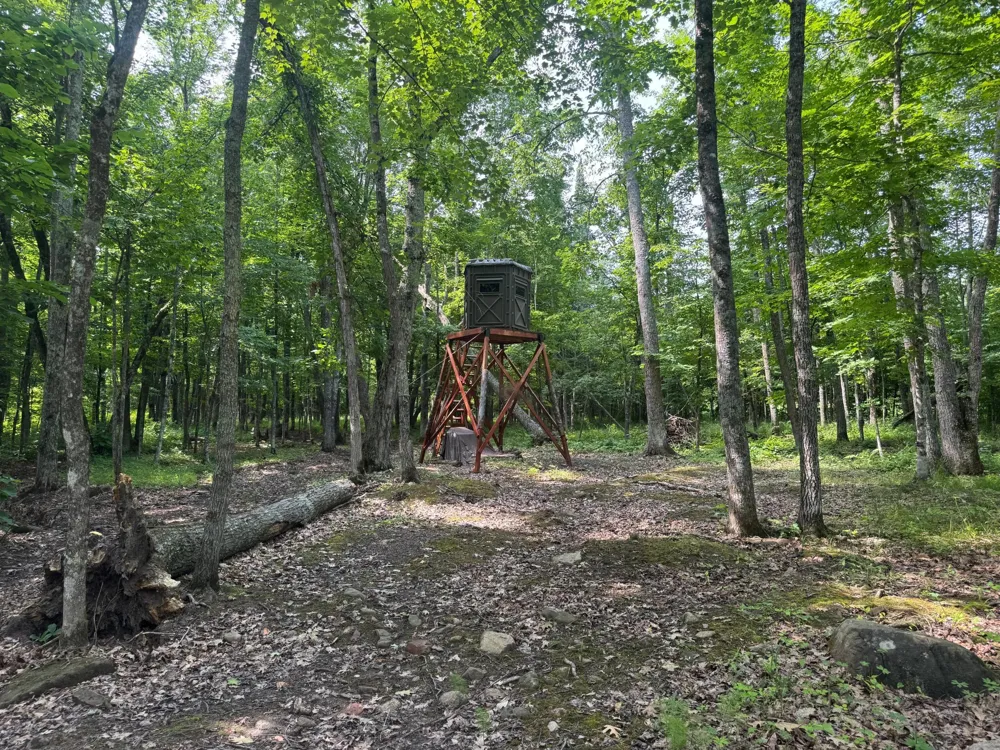 XXX W Eckel Lane Couderay, WI 54835
