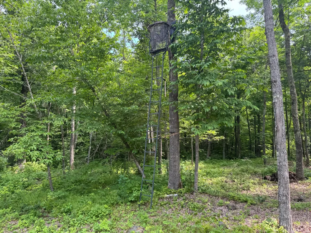 XXX W Eckel Lane Couderay, WI 54835