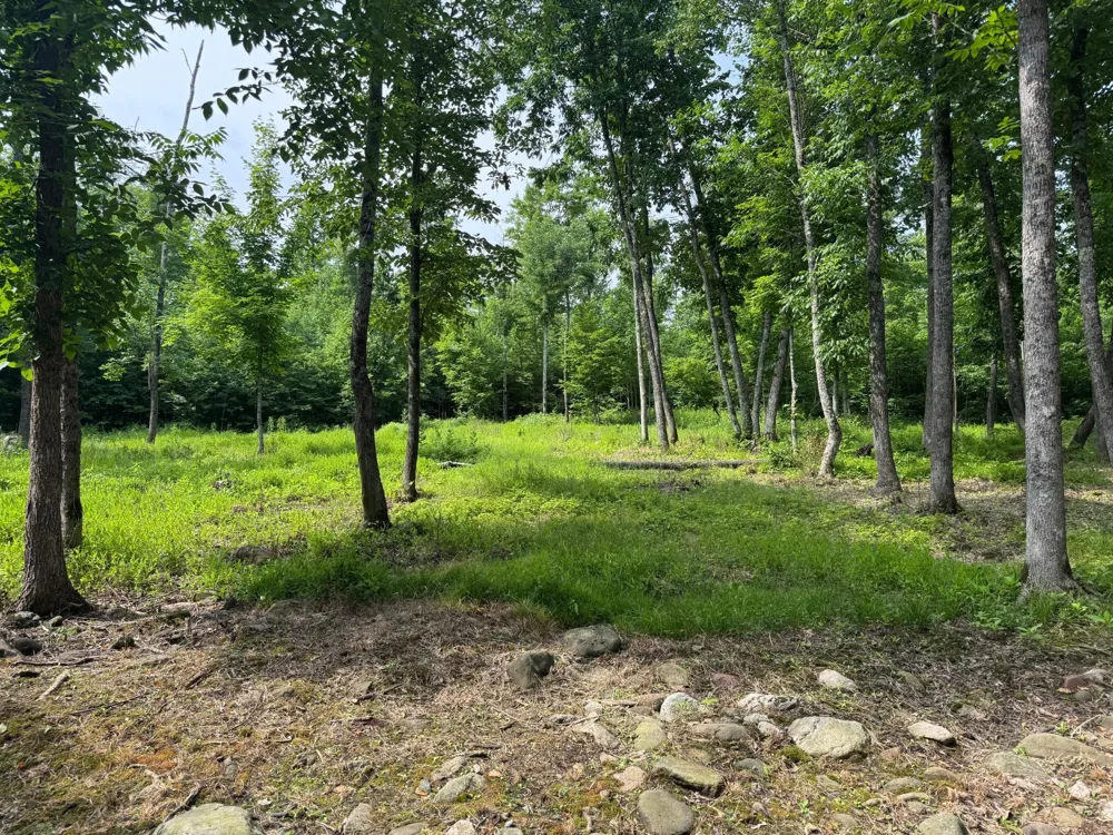 XXX W Eckel Lane Couderay, WI 54835