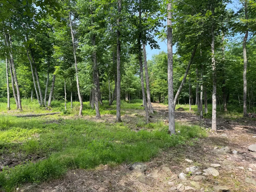 XXX W Eckel Lane Couderay, WI 54835