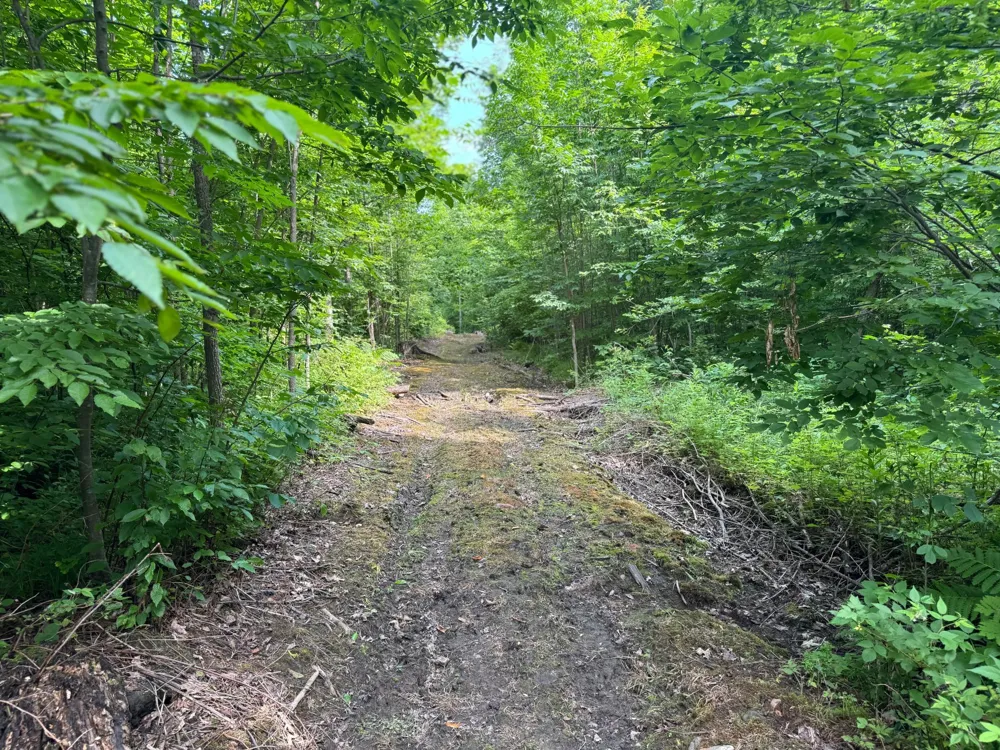 XXX W Eckel Lane Couderay, WI 54835