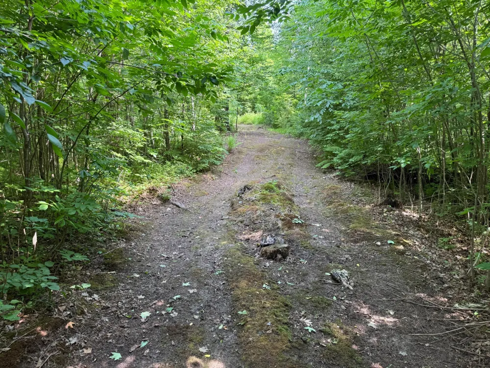 XXX W Eckel Lane Couderay, WI 54835