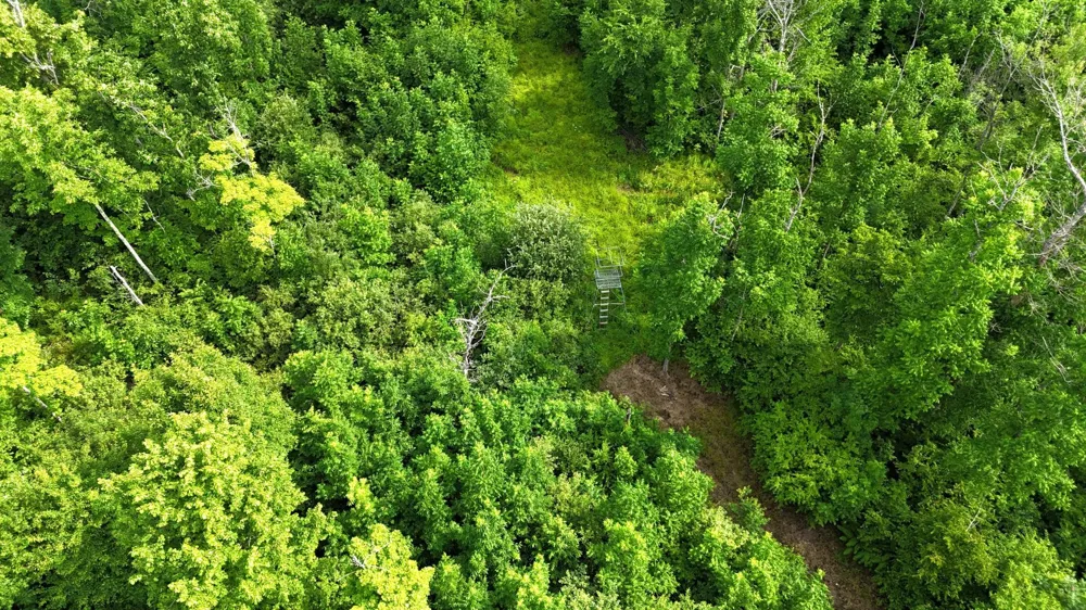 XXX W Eckel Lane Couderay, WI 54835