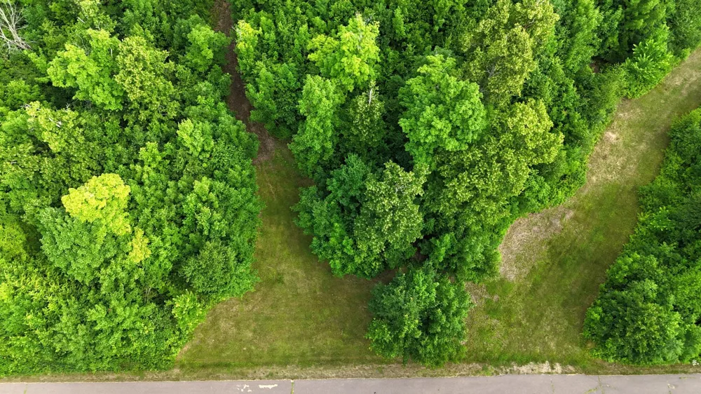 XXX W Eckel Lane Couderay, WI 54835