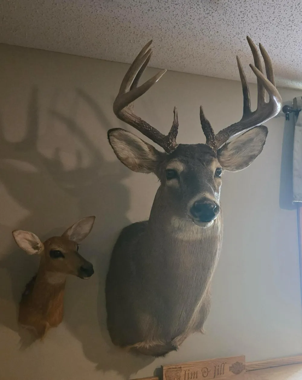 XXX W Eckel Lane Couderay, WI 54835