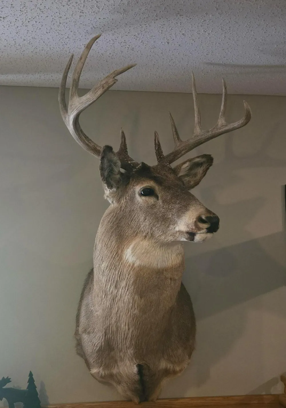 XXX W Eckel Lane Couderay, WI 54835