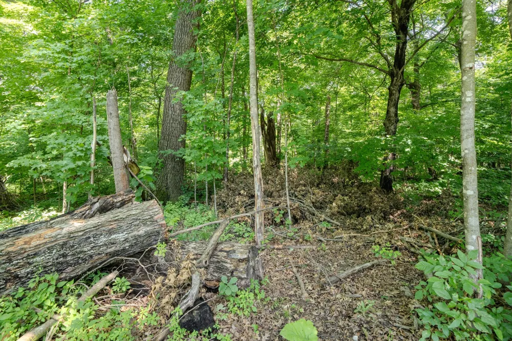 1498 Cable Road Swanville, MN 56382