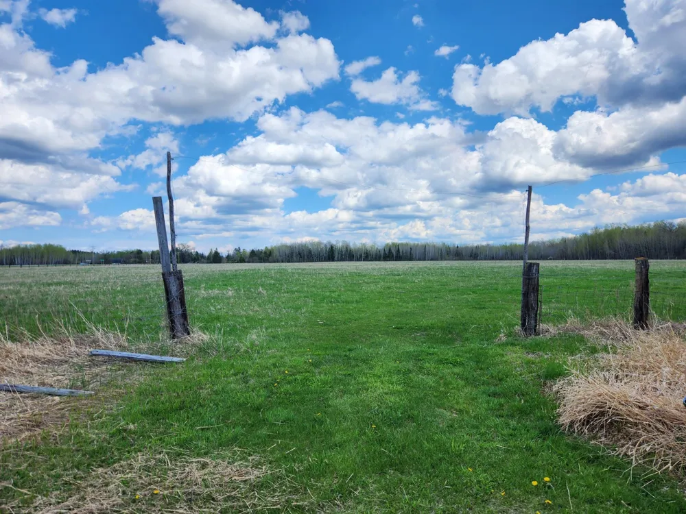 3751 Highway 53 International Falls, MN 56649