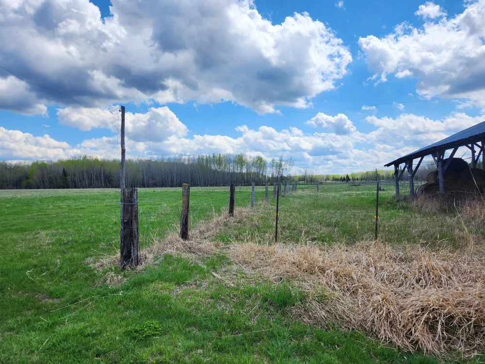 3751 Highway 53 International Falls, MN 56649