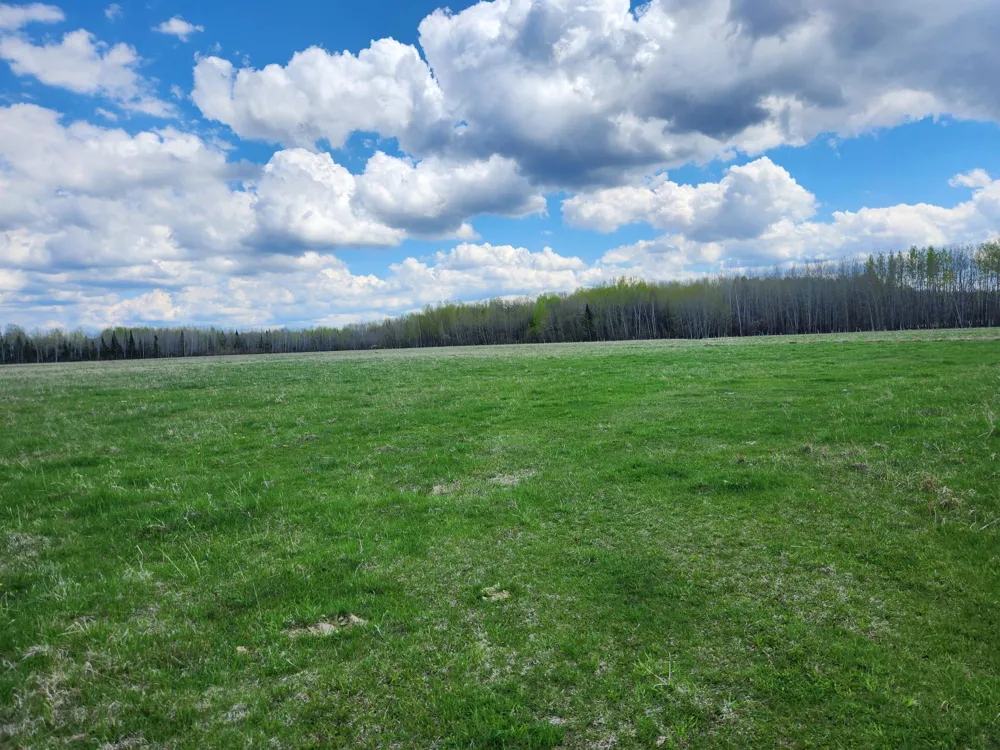 3751 Highway 53 International Falls, MN 56649