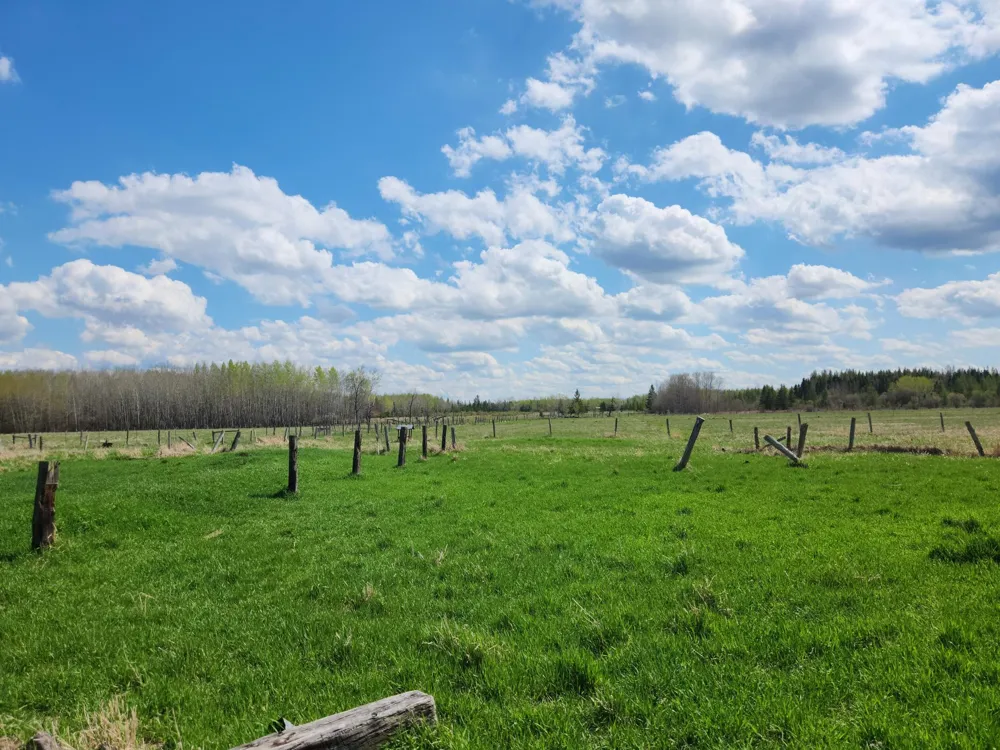 3751 Highway 53 International Falls, MN 56649
