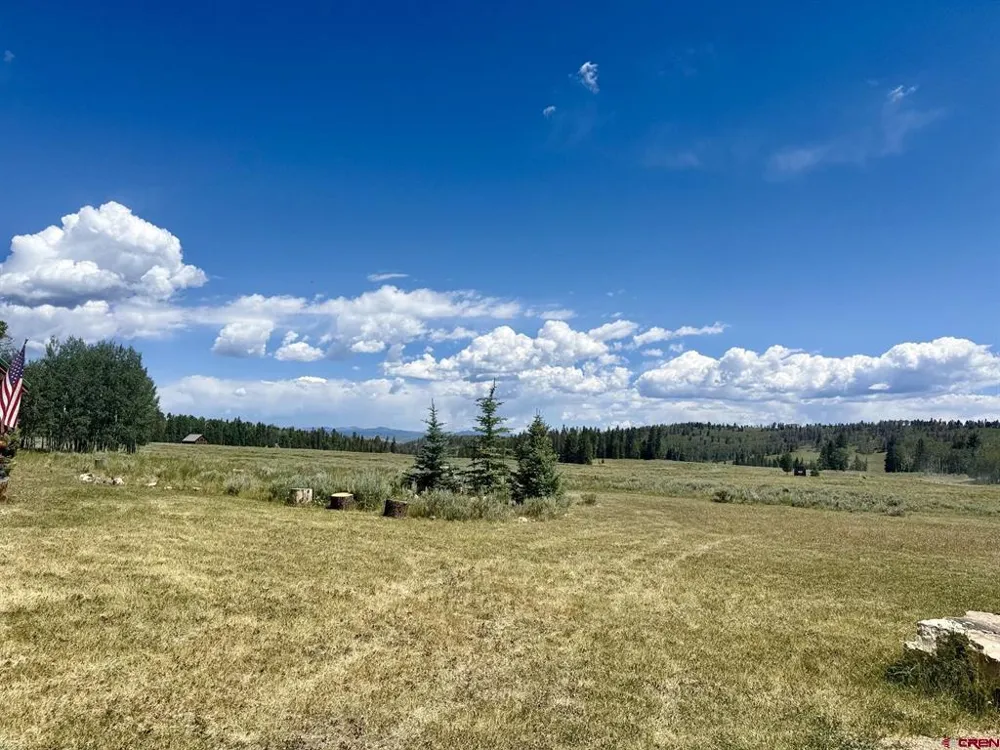 2221 Spruce Road Cimarron, CO 81220