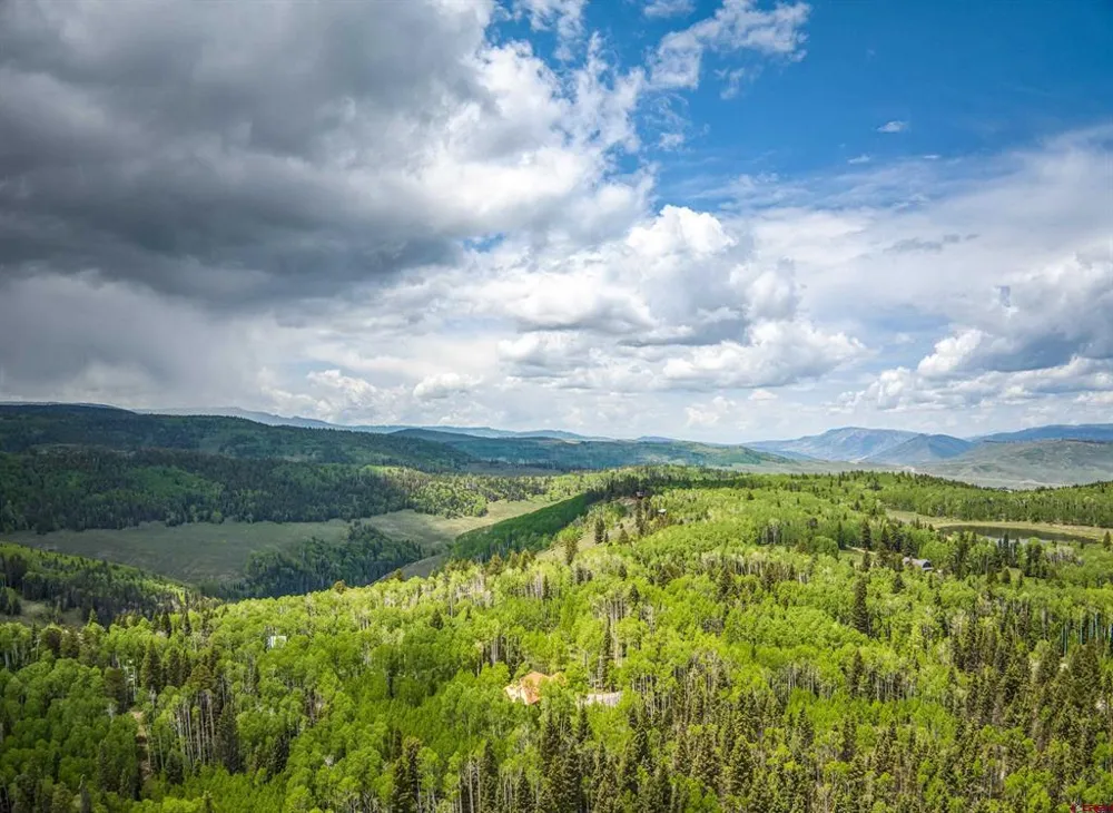 2221 Spruce Road Cimarron, CO 81220