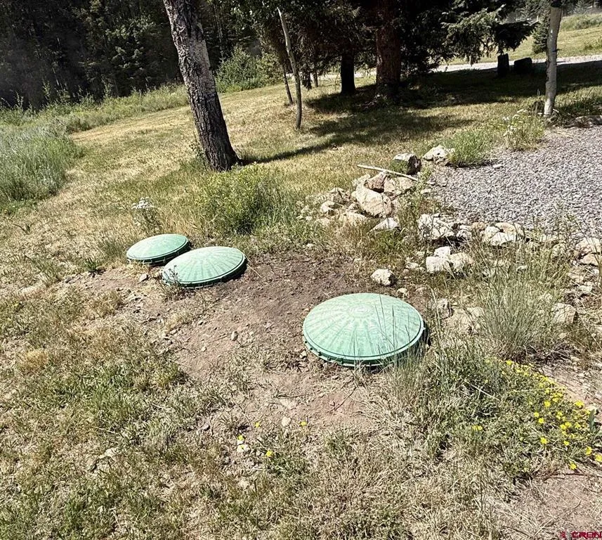 2221 Spruce Road Cimarron, CO 81220