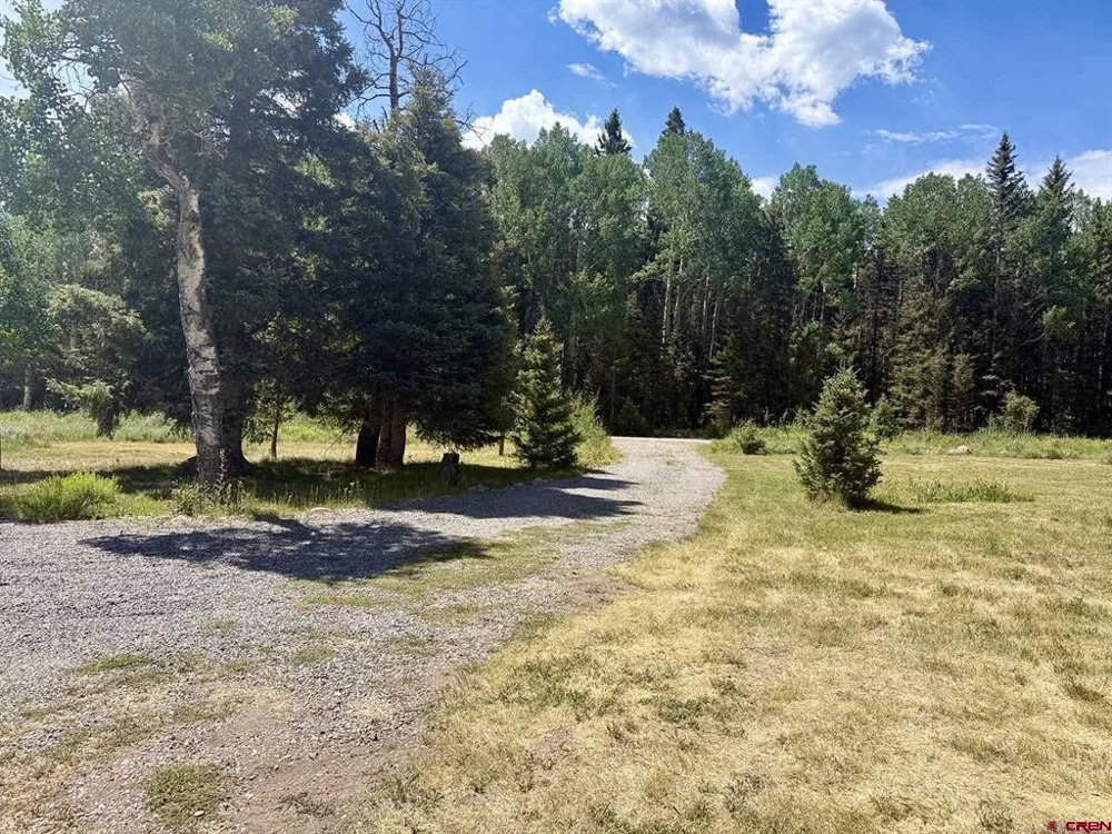2221 Spruce Road Cimarron, CO 81220
