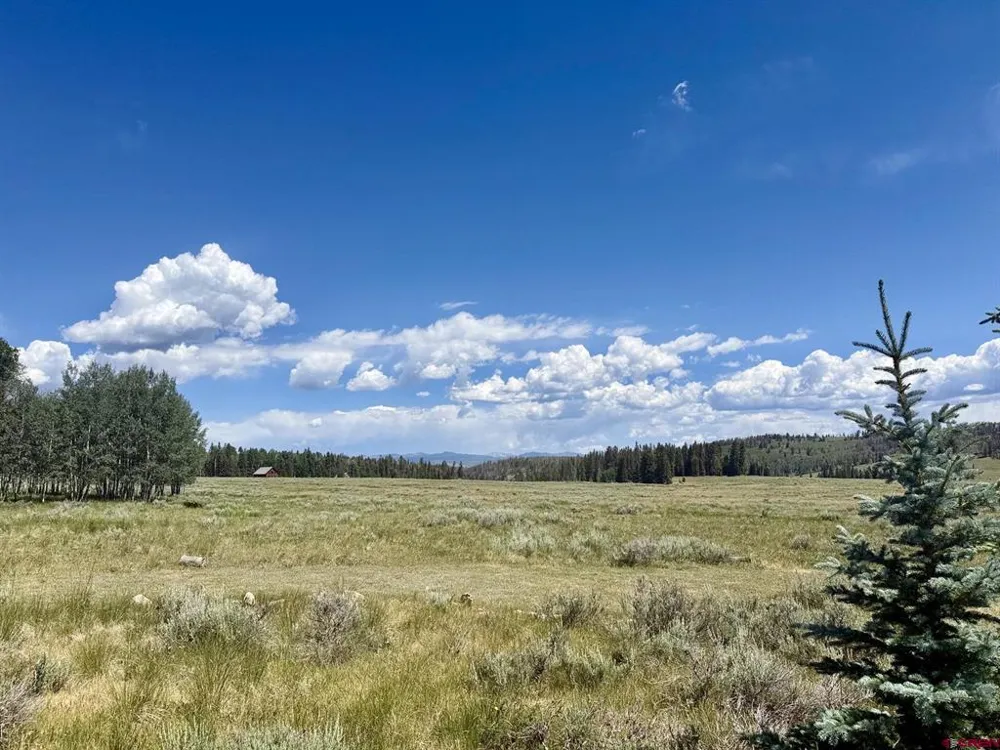 2221 Spruce Road Cimarron, CO 81220