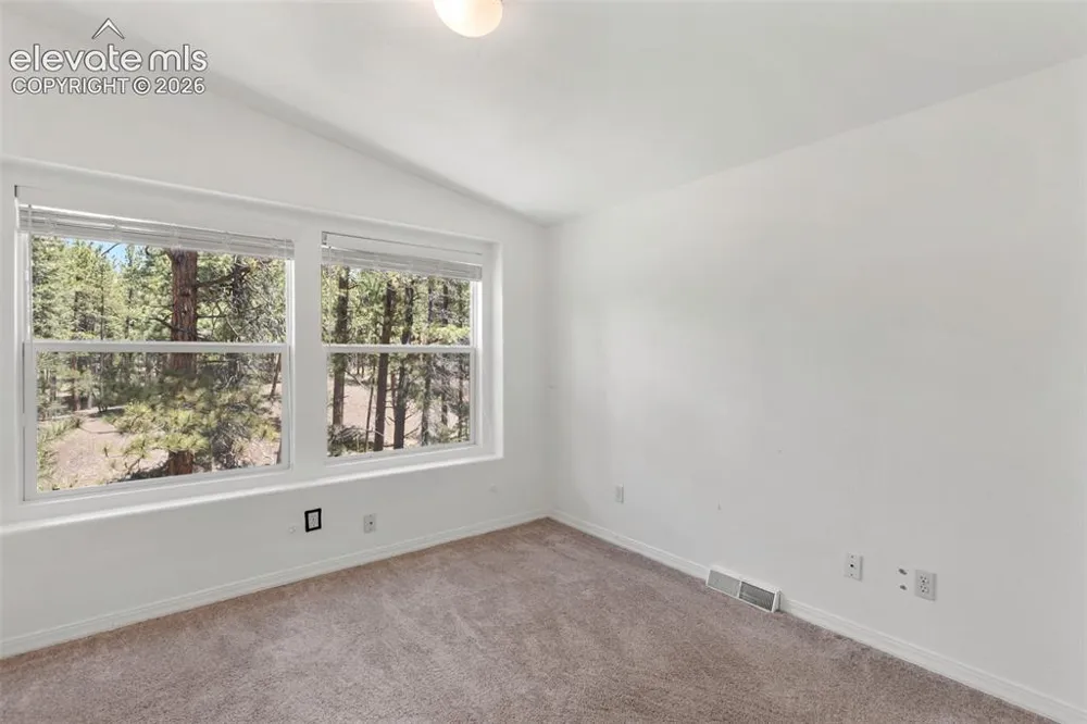 46 Kingston Circle Florissant, CO 80816