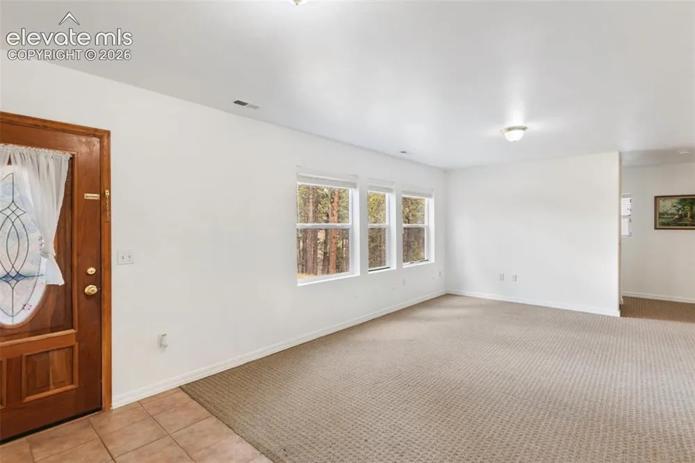46 Kingston Circle Florissant, CO 80816