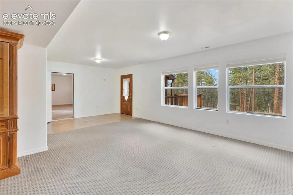 46 Kingston Circle Florissant, CO 80816