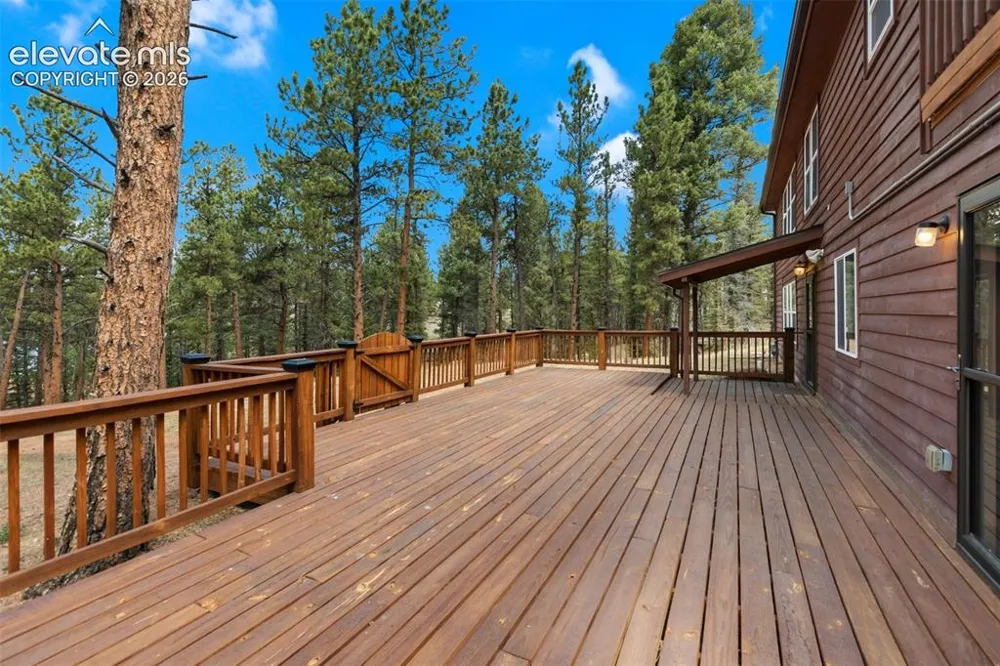 46 Kingston Circle Florissant, CO 80816