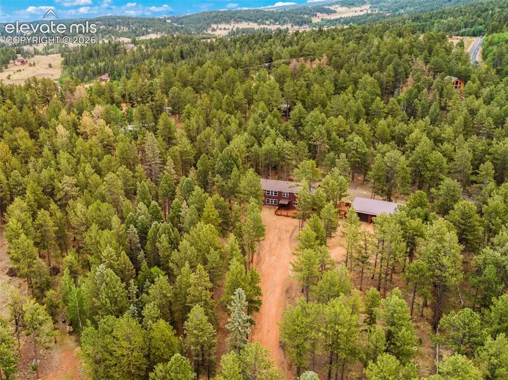 46 Kingston Circle Florissant, CO 80816