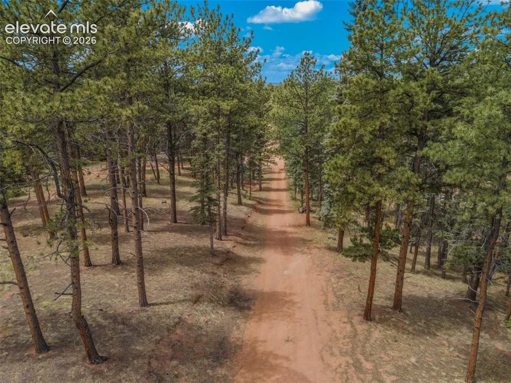 46 Kingston Circle Florissant, CO 80816