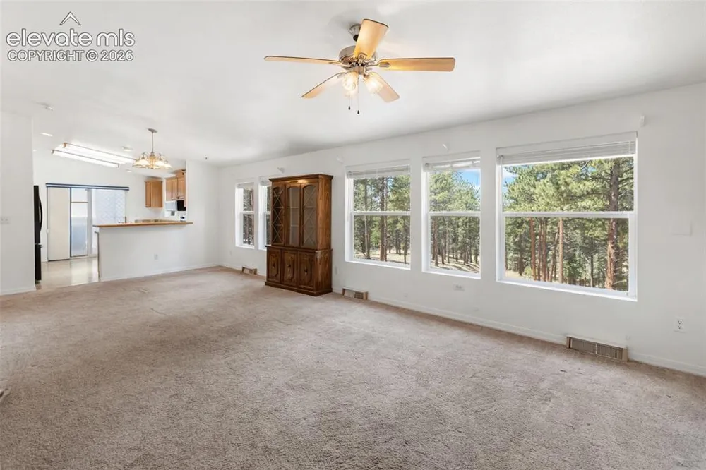 46 Kingston Circle Florissant, CO 80816