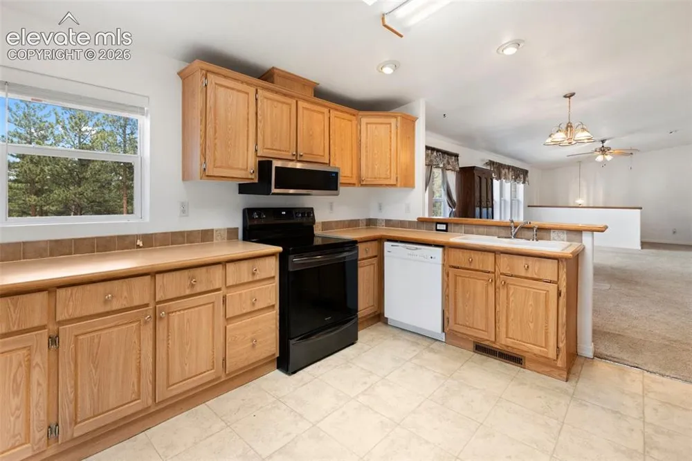 46 Kingston Circle Florissant, CO 80816