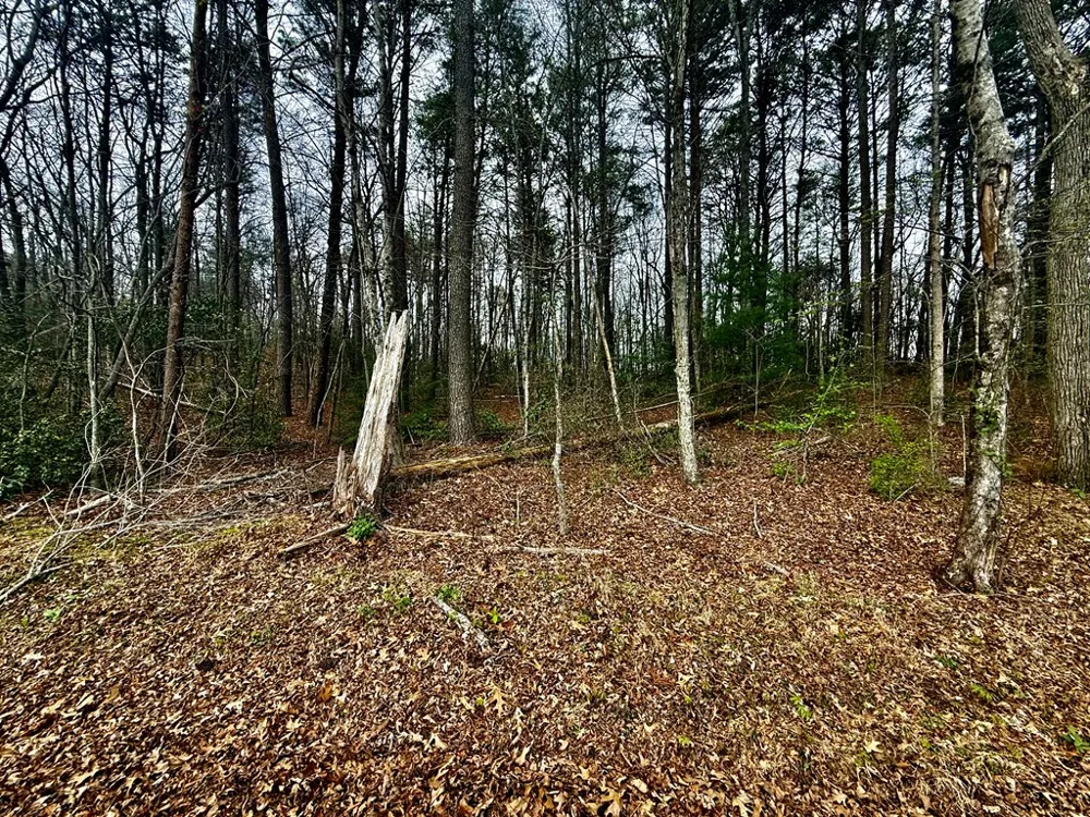 0 Hwy 68 Turtletown, TN 37391