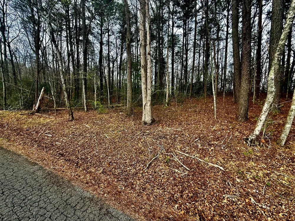 0 Hwy 68 Turtletown, TN 37391
