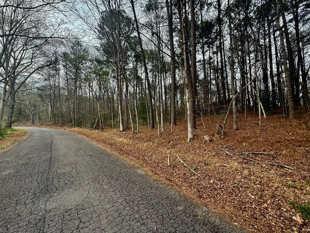0 Hwy 68 Turtletown, TN 37391