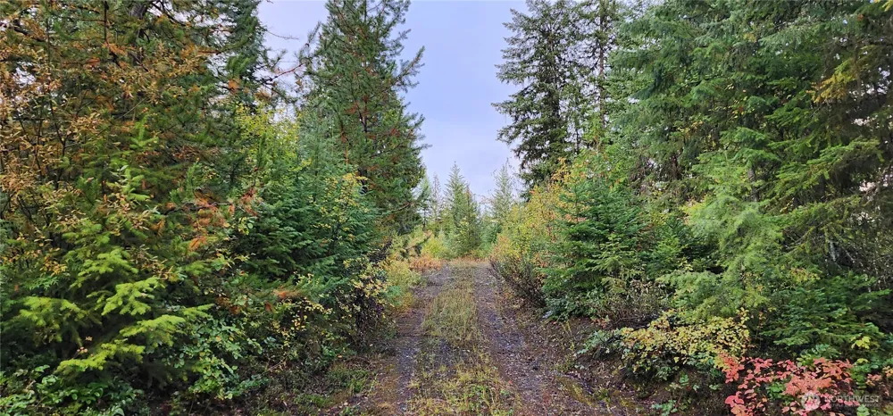 2518 A Bodie Mountain Road Colville, WA 99114